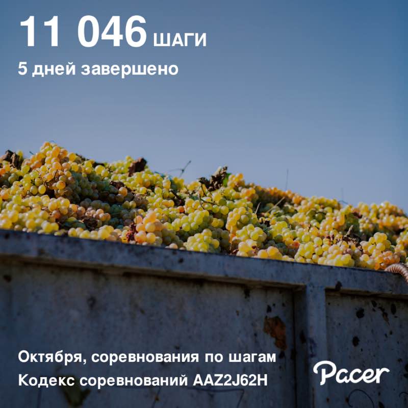 Julia 🇬🇪 post 1