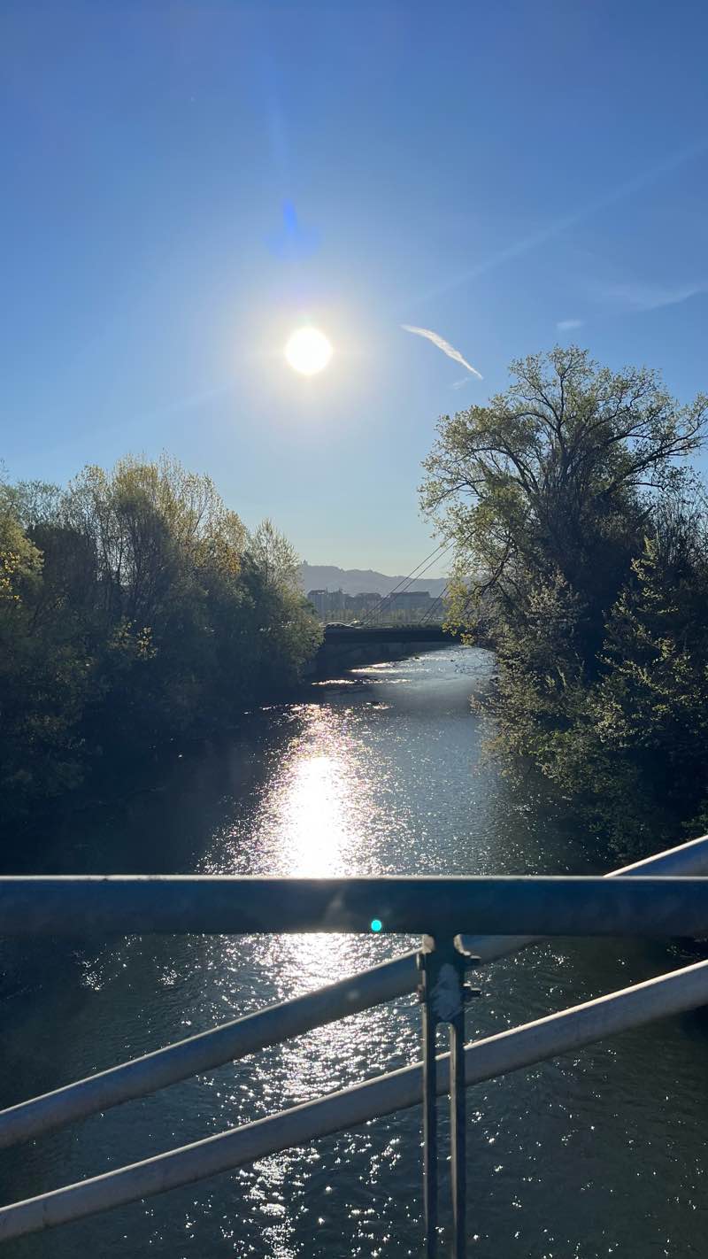 walking near me in Parco Dora (area Michelin) in winter