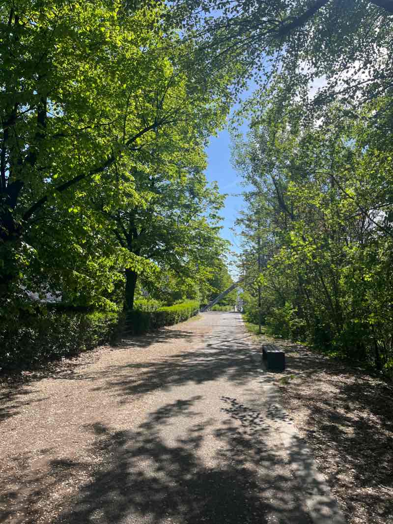 walking near me in Parco Dora (area Vitali) in winter