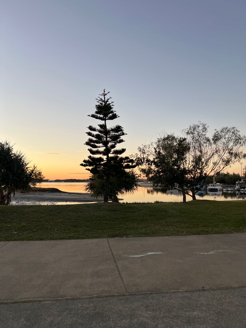 walking near me in Mitchell Park in winter