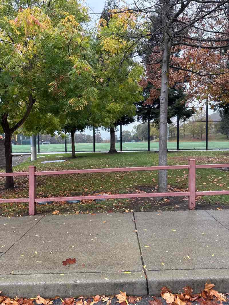 walking near me in Sycamore Valley Park in autumn