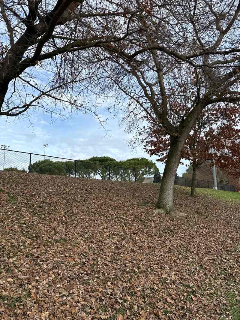 walking near me in Sycamore Valley Park in winter