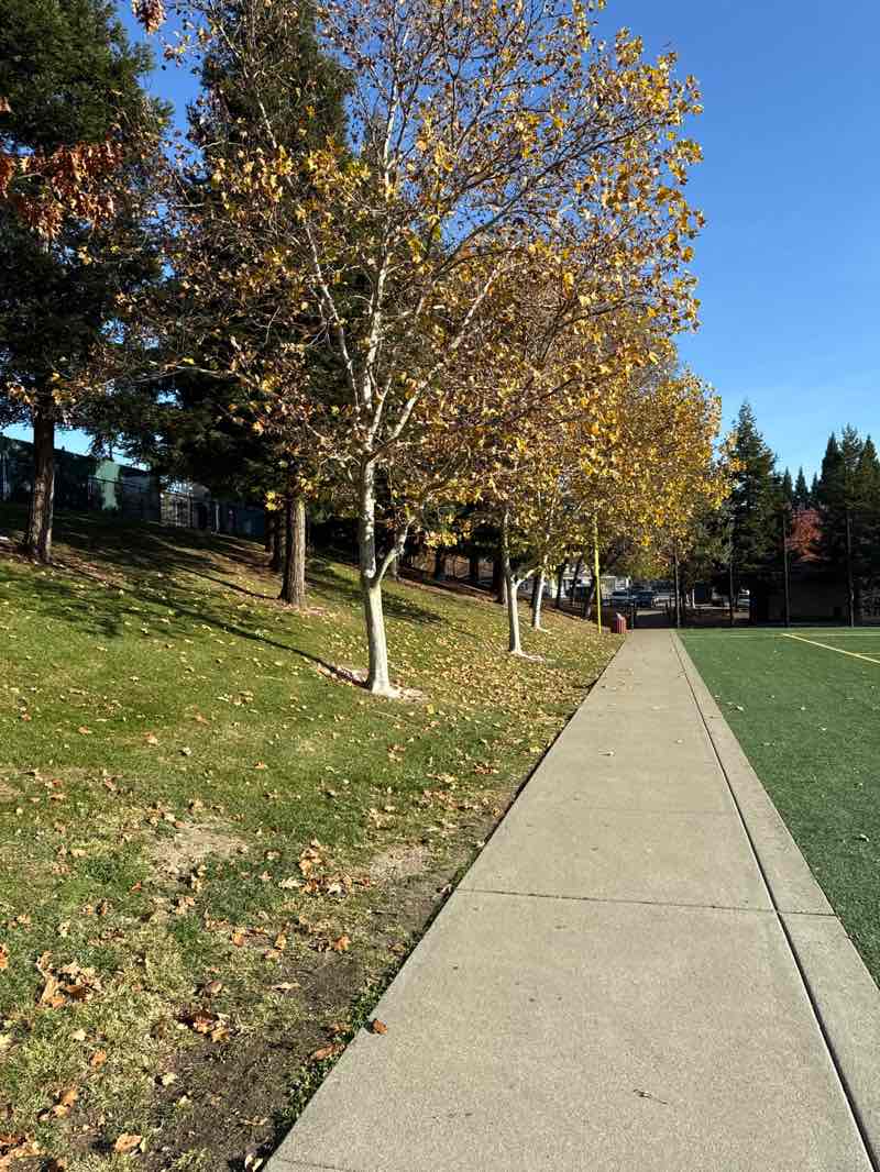 walking near me in Sycamore Valley Park in winter