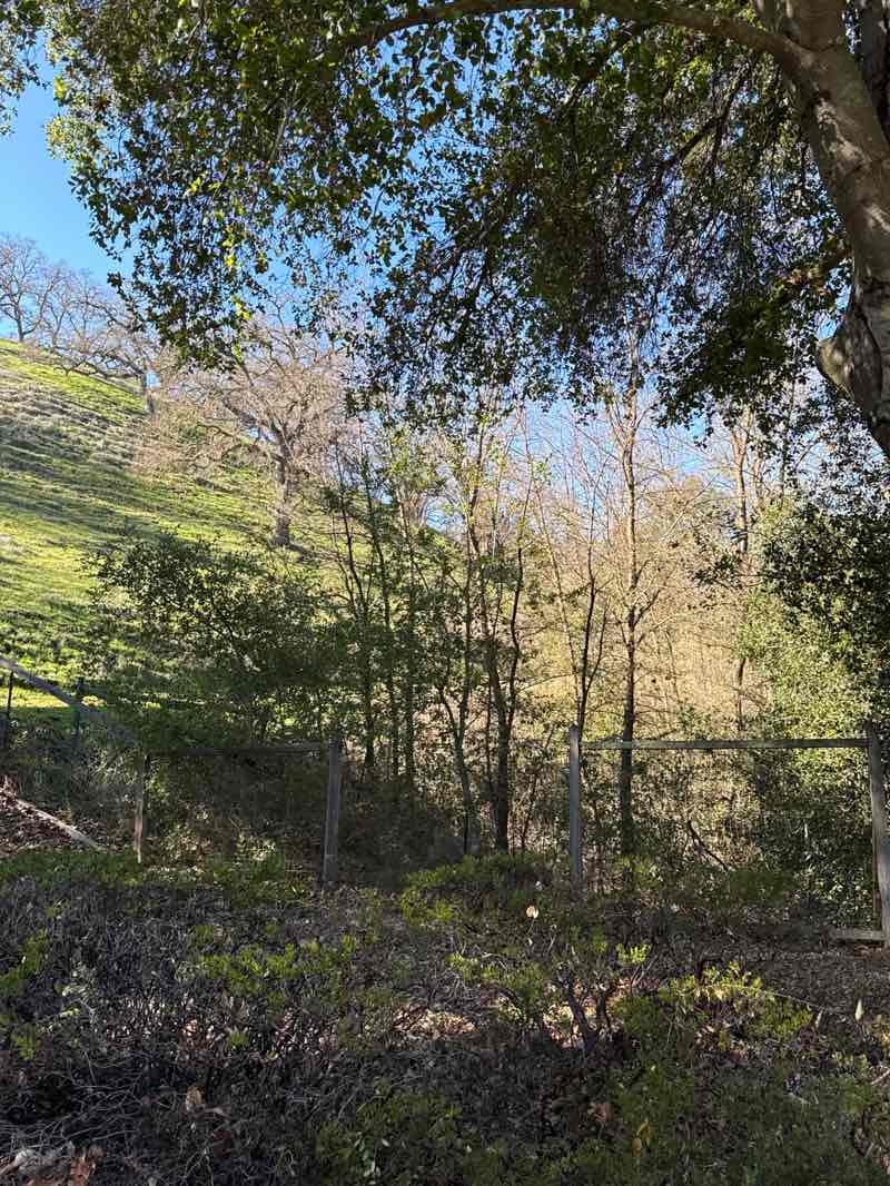 walking near me in Sycamore Valley Open Space Regional Preserve in winter