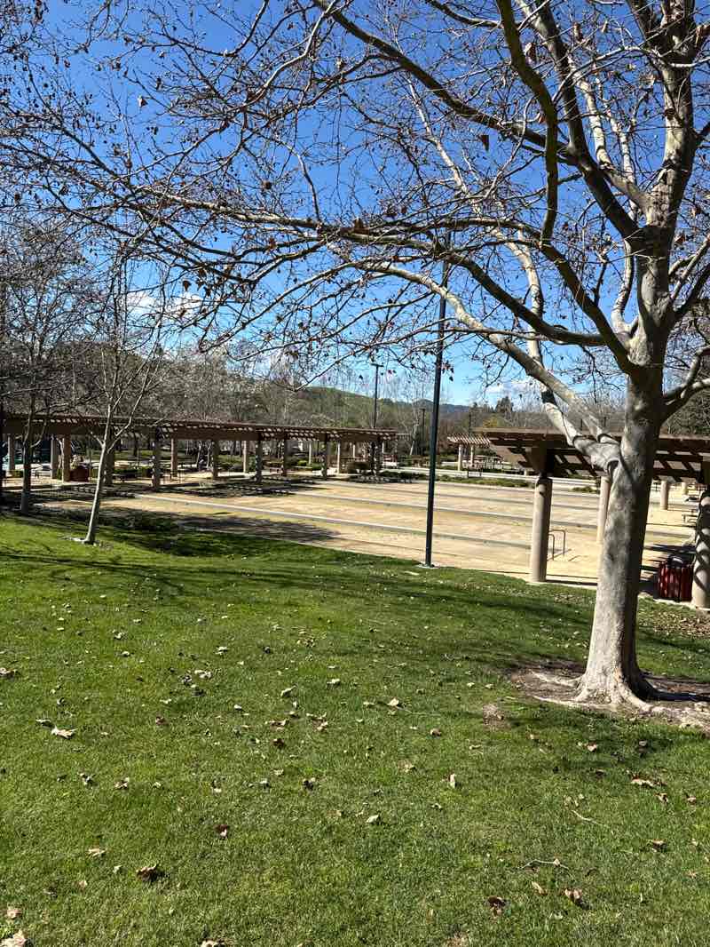 walking near me in Sycamore Valley Park in spring