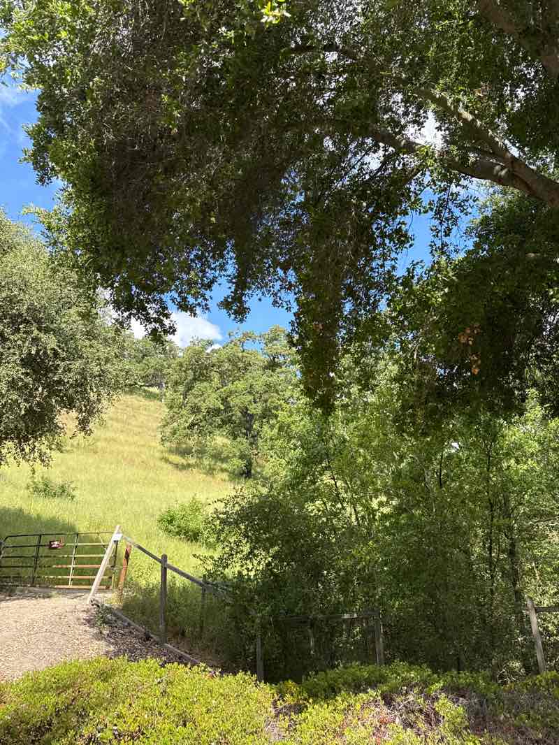 walking near me in Sycamore Valley Open Space Regional Preserve in spring