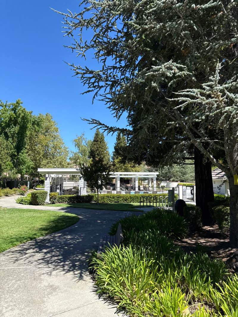 walking near me in Viewpoint Drive Park in summer
