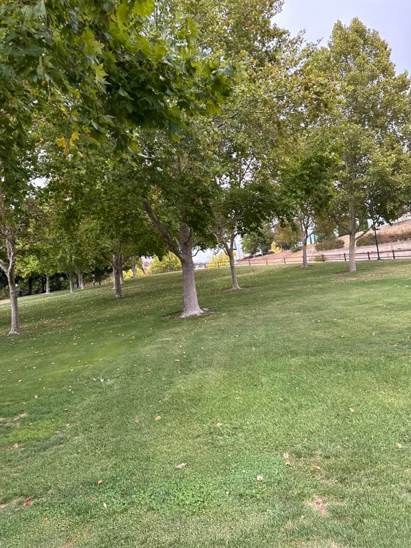 walking near me in Sycamore Valley Park in autumn