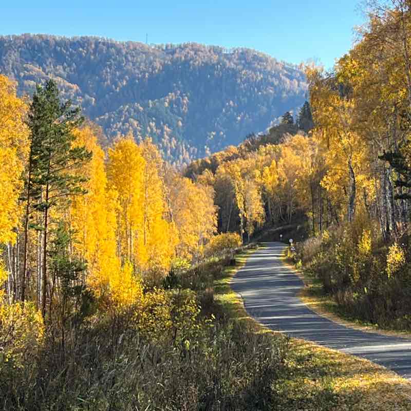 🏔️👟🎒Максим❤️🇷🇺🫡 post 1