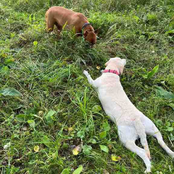 🏔️👟🎒Максим❤️🇷🇺🫡 post 3