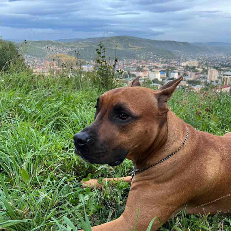 🏔️👟🎒Максим❤️🇷🇺🫡 post 2