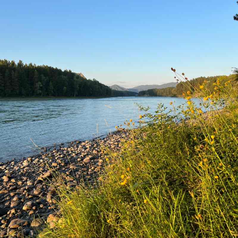 🏔️👟🎒Максим❤️🇷🇺🫡 post 2