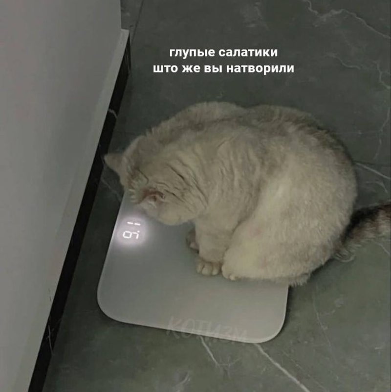 Идущий вдоль реки🧐 Валерия post image