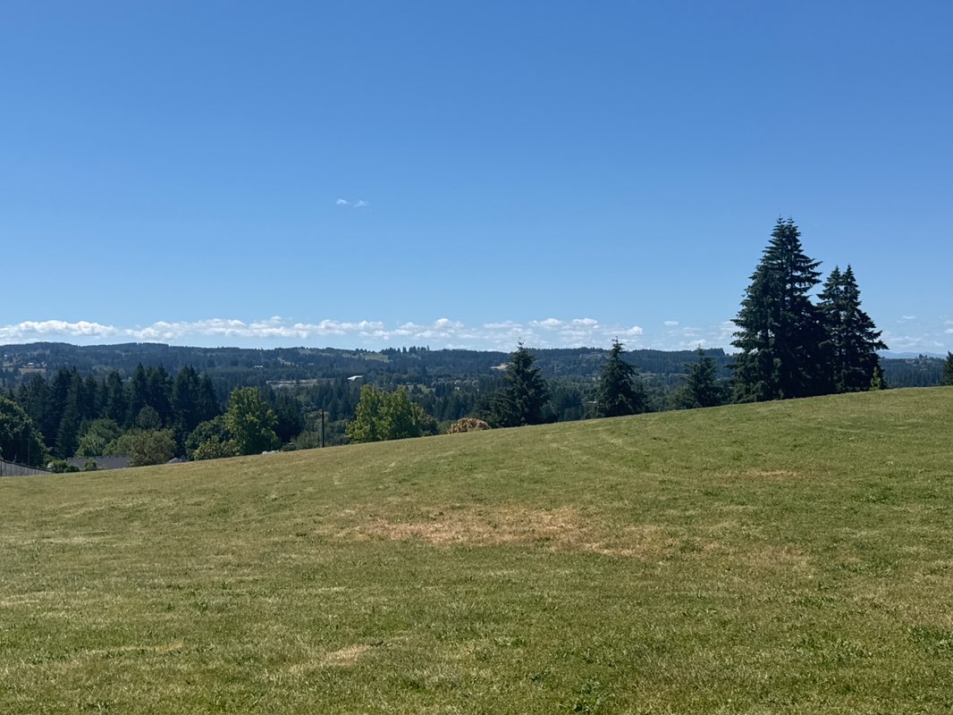 walking near me in Snyder Park in summer