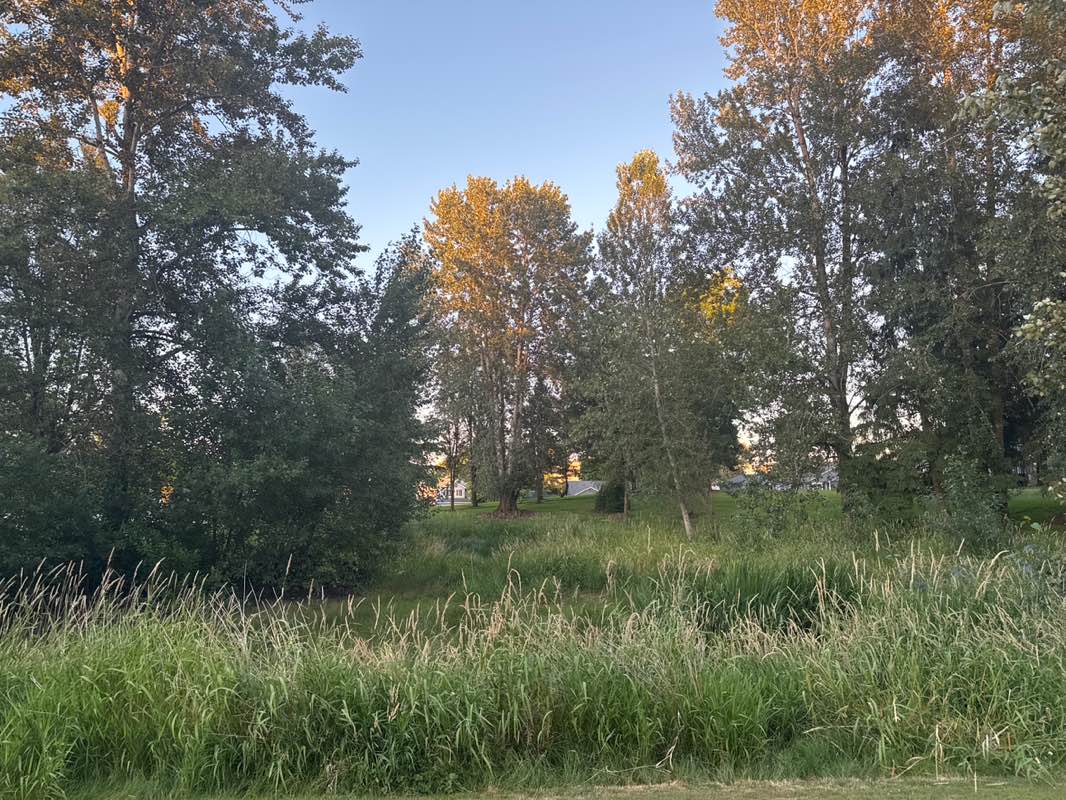 walking near me in Murdock Park in summer