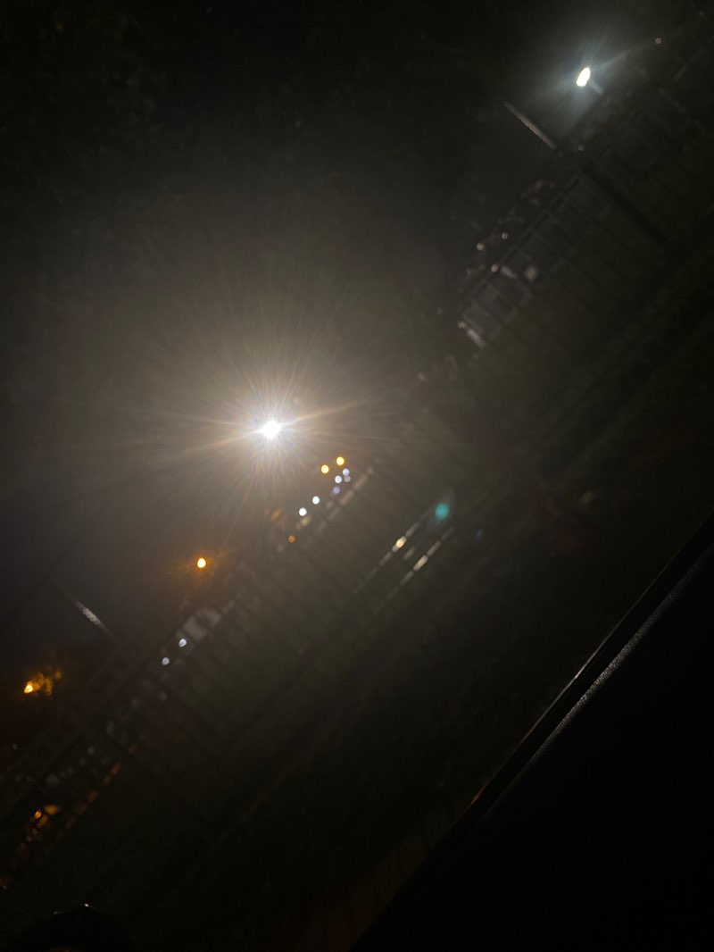 walking near me in Randall Memorial Park in autumn