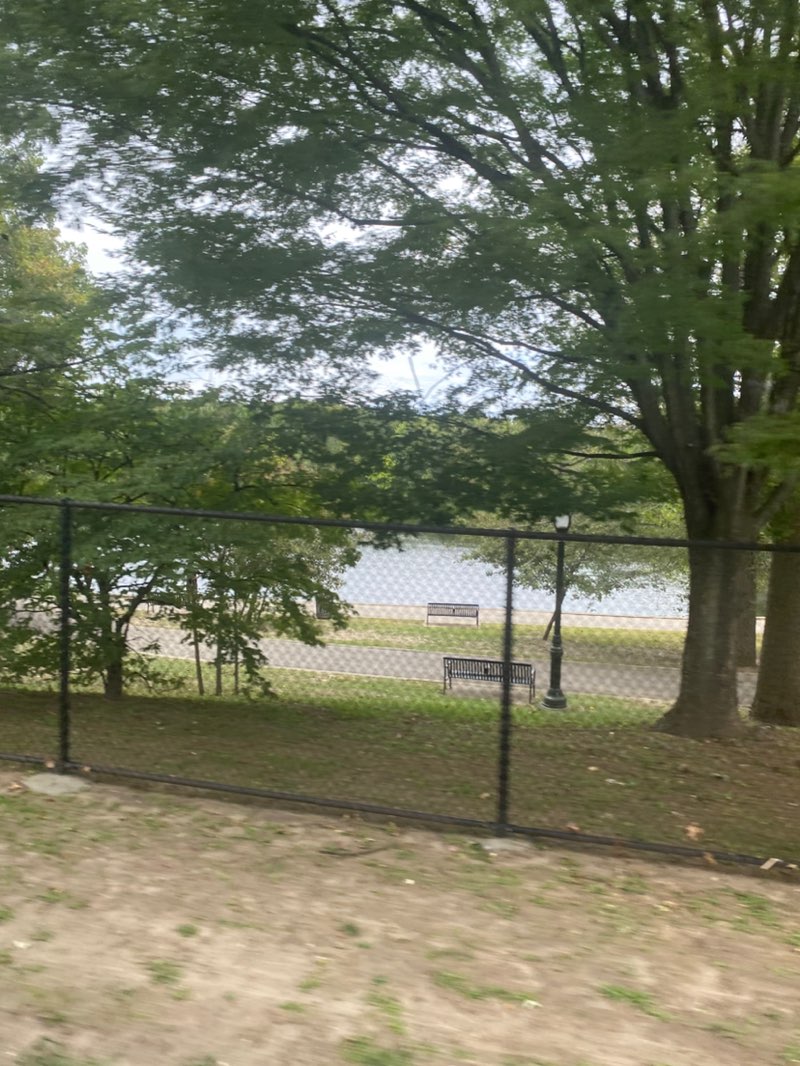 walking near me in Reverend Arthur Mackey Park in autumn