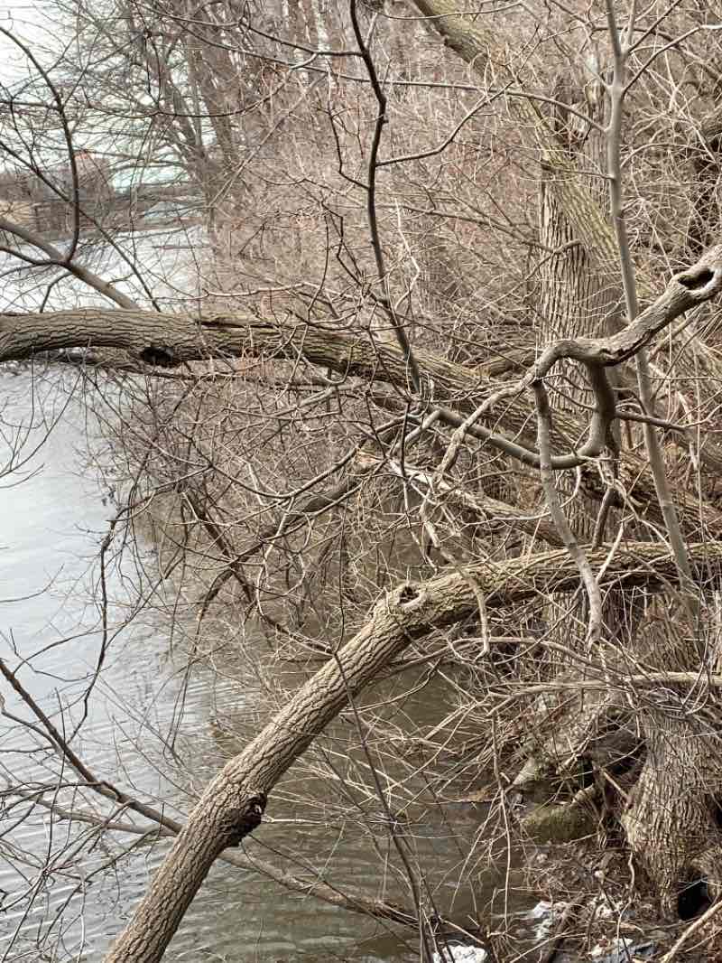 walking near me in Winter Park in winter