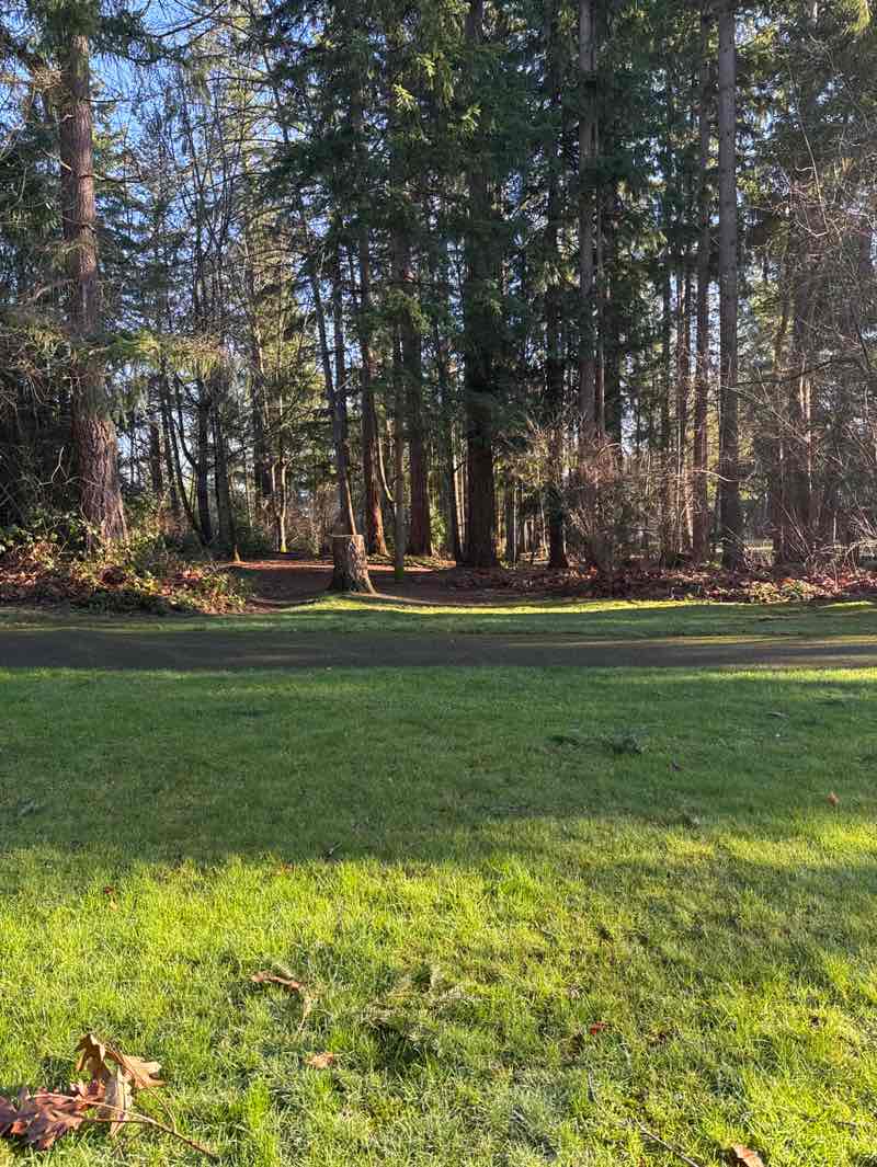 walking near me in Spiritridge Park in winter