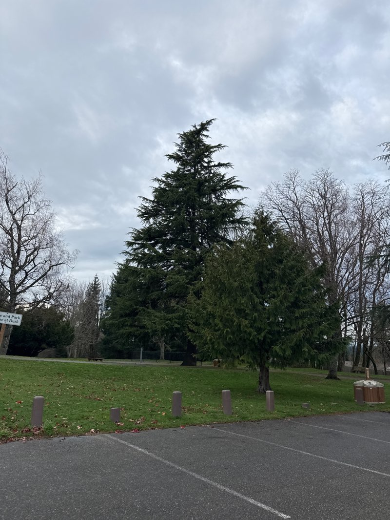 walking near me in Horizon View Park in winter