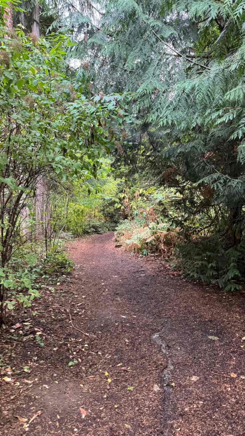 walking near me in Bellevue Airfield Park in autumn