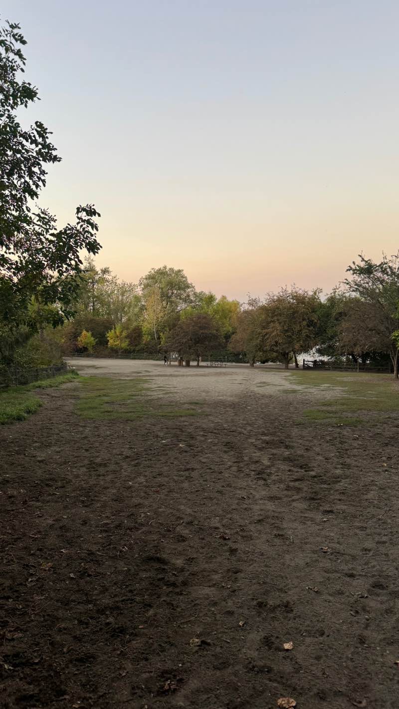 walking near me in Luther Burbank Park in autumn