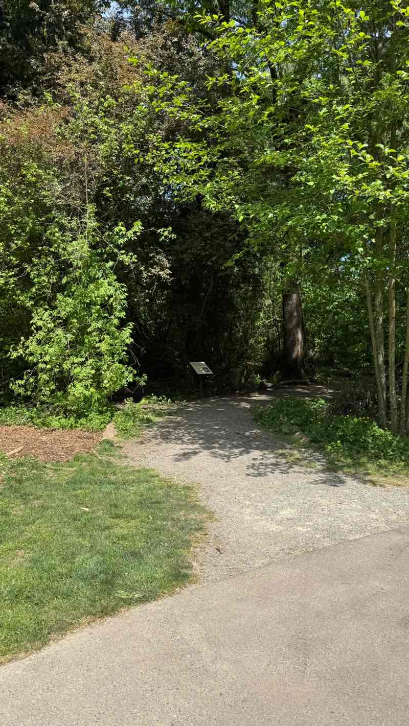 walking near me in Edith Moulton Park in spring