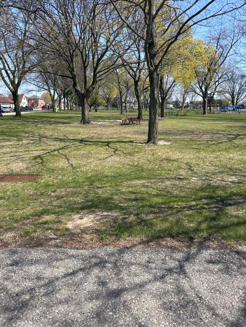 walking near me in Hemlock Park in spring