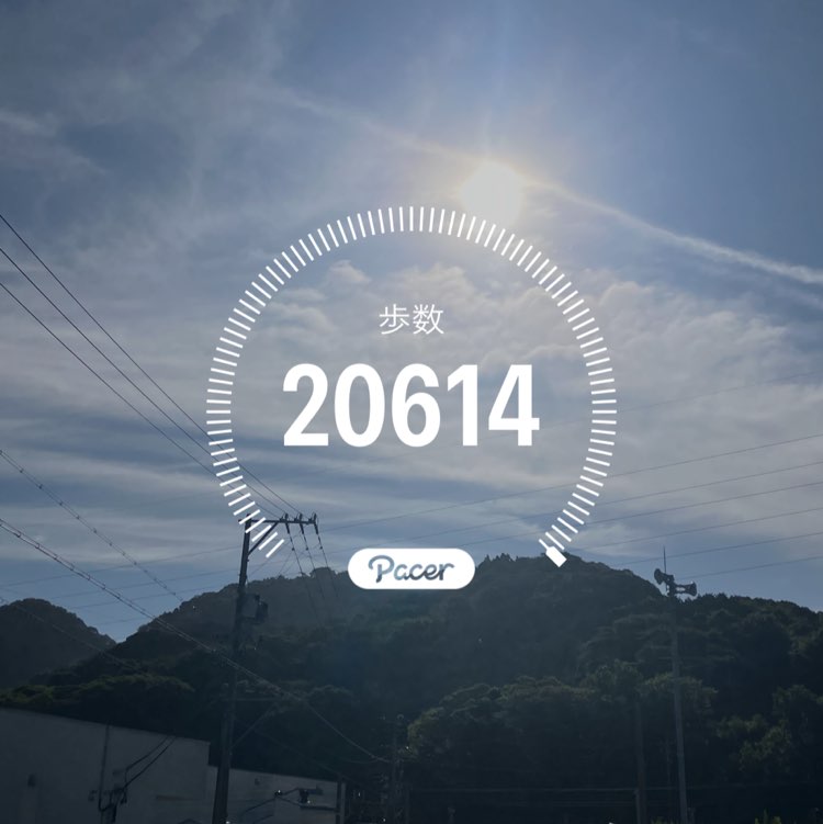まっすー post 1