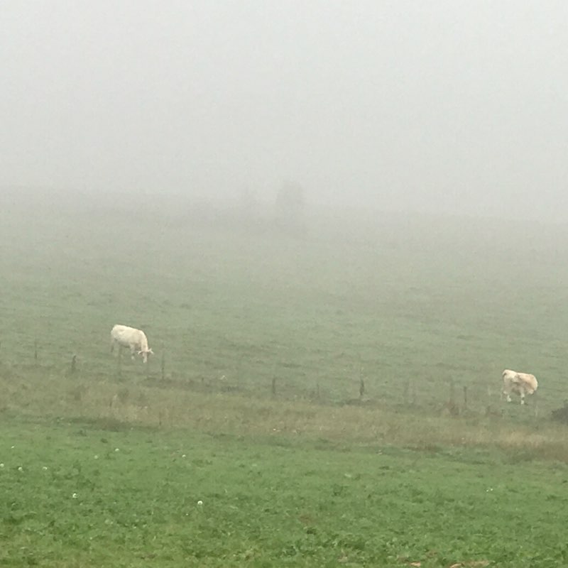 la chouette 42 post 2