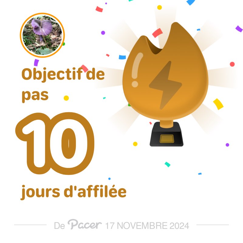 la chouette 42 post 1