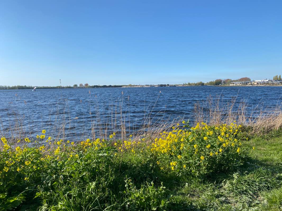 walking near me in Zuidwijk in winter