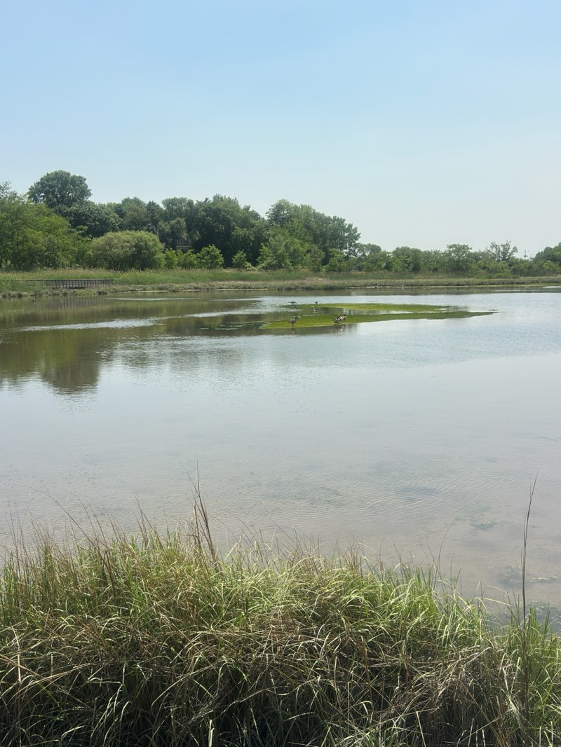 walking near me in Mercer County Park in summer