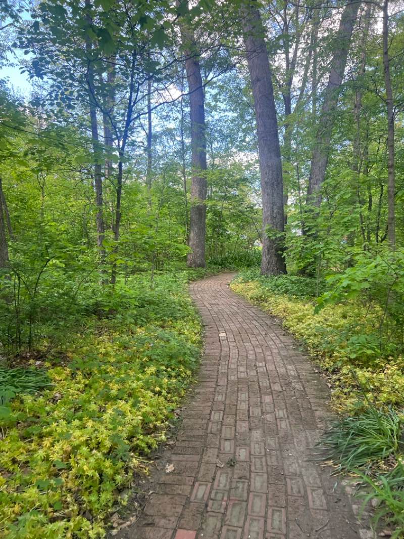 walking near me in Minnetrista in spring