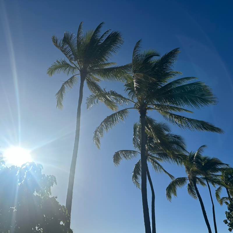 モチベUP仲間 Reiko post image