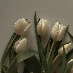 raghad mohammed profile