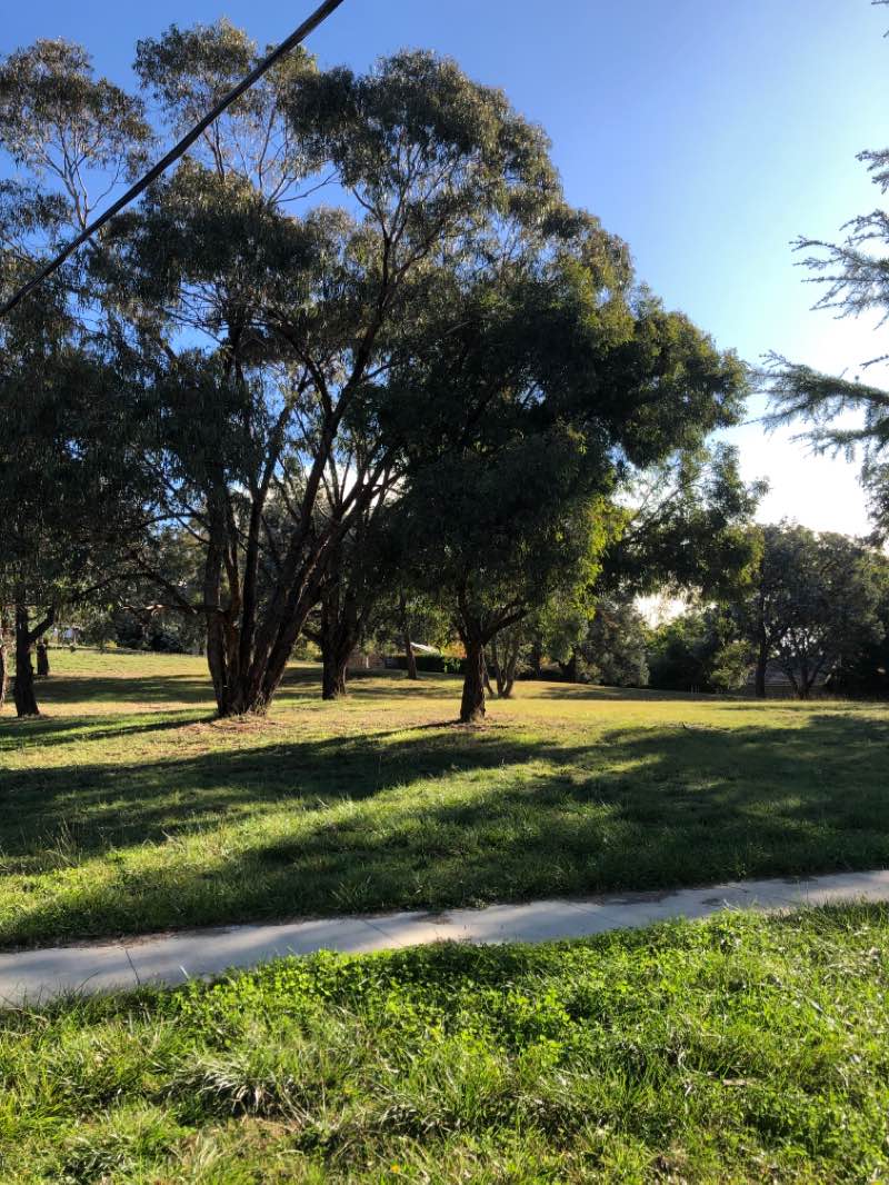 walking near me in Lake Tuggeranong District Park in summer