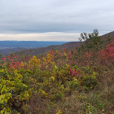 FM Walkers Krishna Kumar K post image