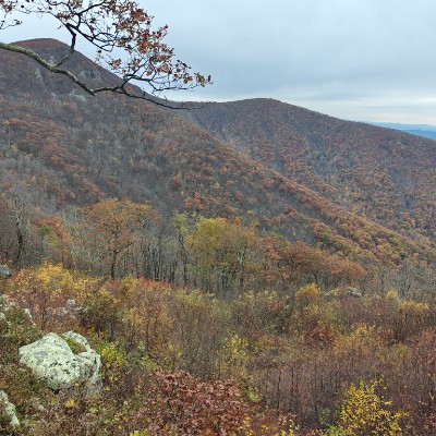 FM Walkers Krishna Kumar K post image