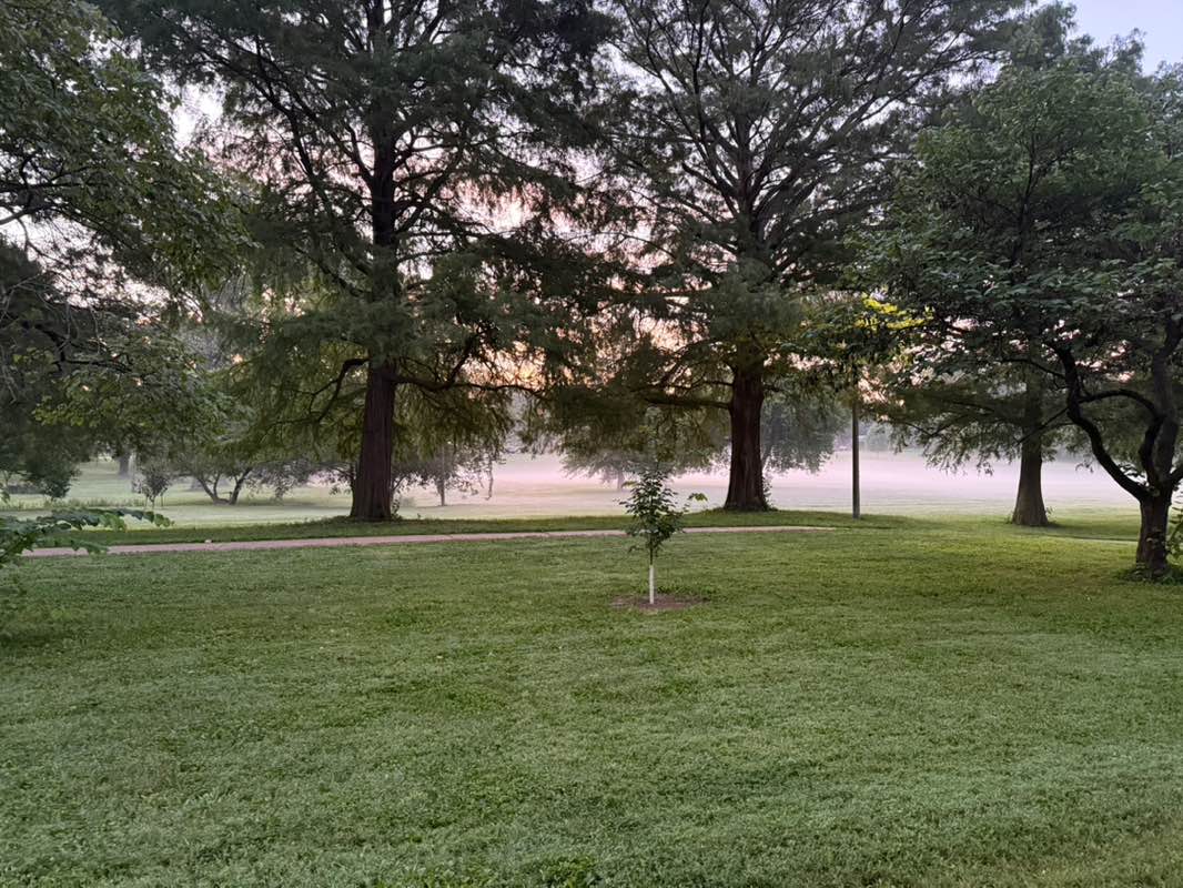 walking near me in David R. Francis Park in summer