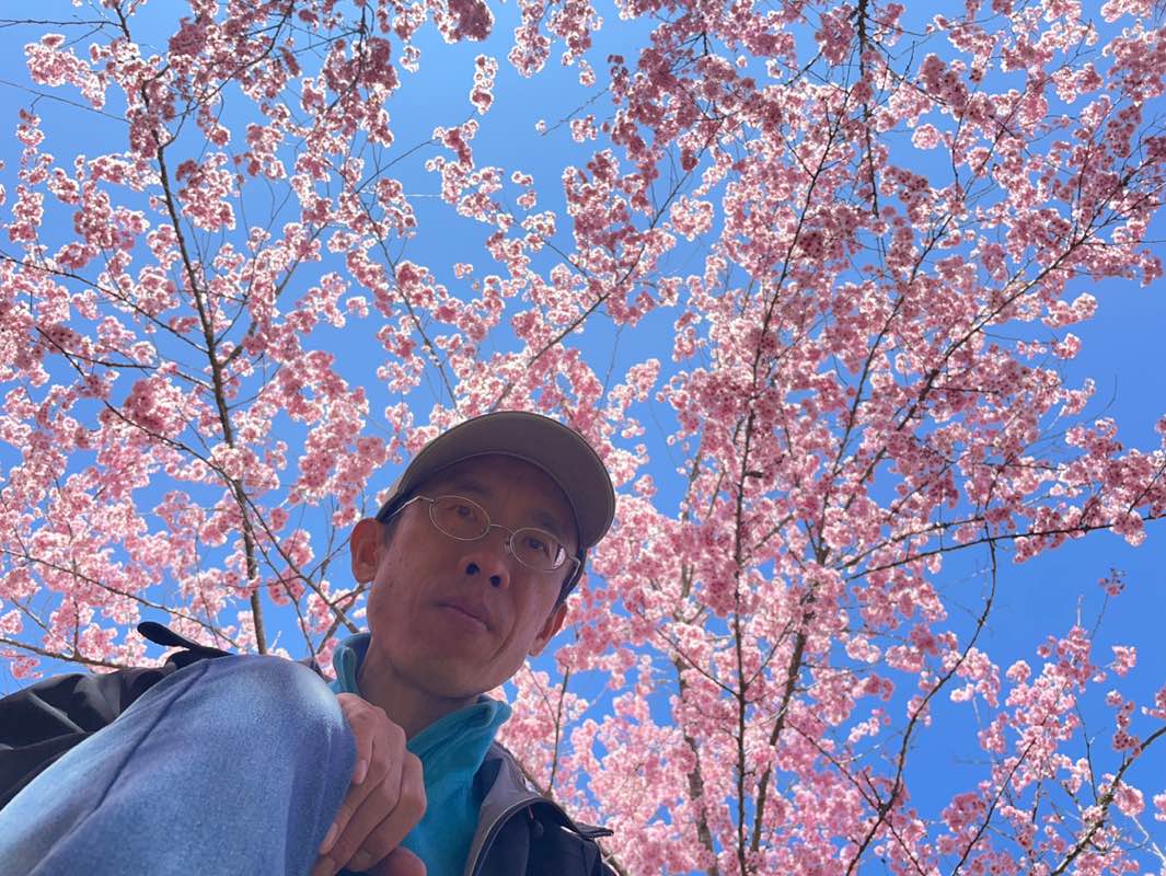 G-Dino Chang profile