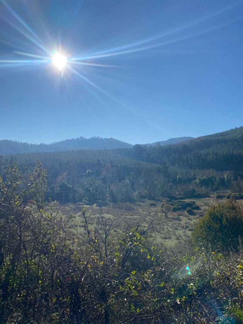 walking near me in Parque Entre Puentes in winter