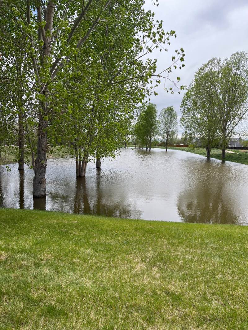 walking near me in Bennedict Park in winter