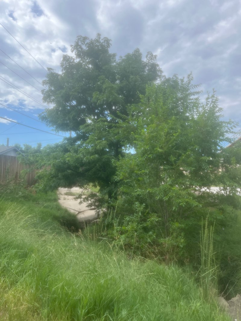 walking near me in Jaycee Park in winter