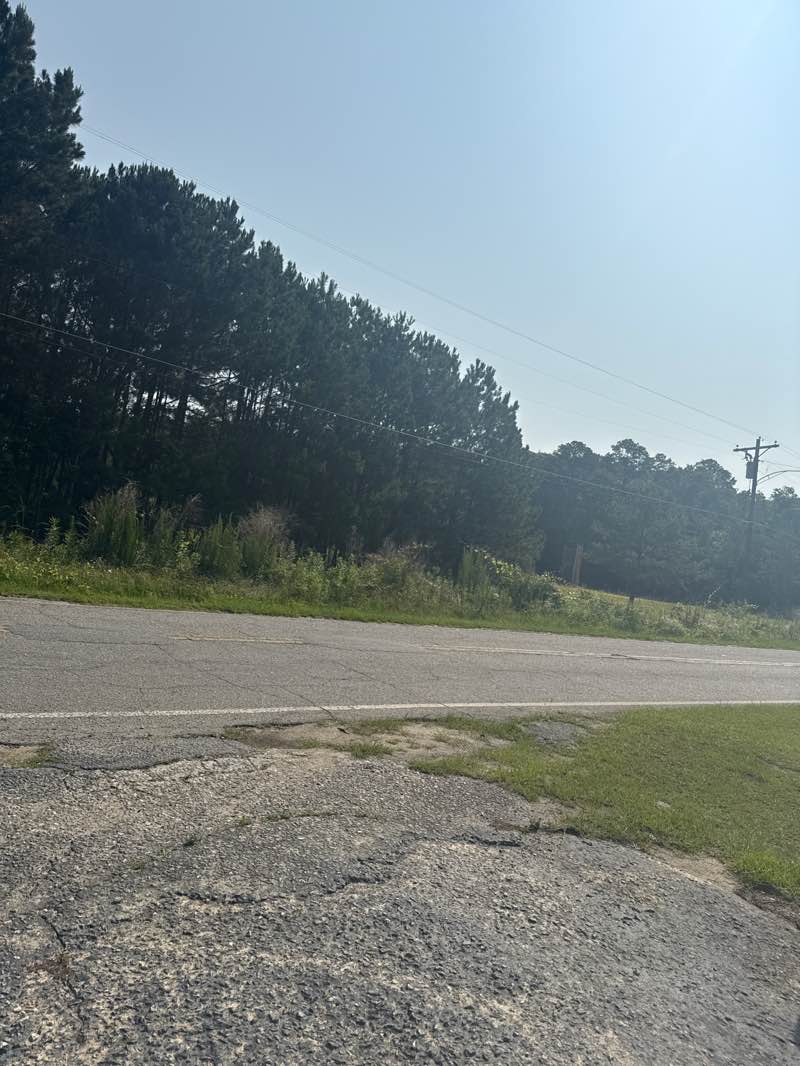 walking near me in Booth Road Park in summer