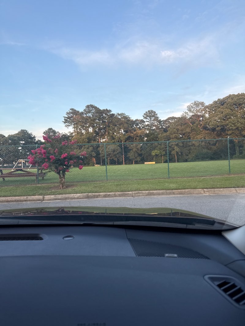 walking near me in Victory Fields in summer