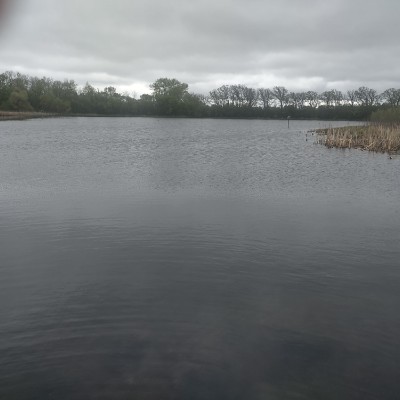 gary post 3
