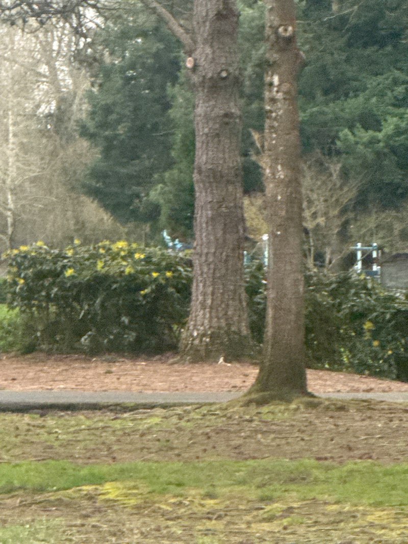 walking near me in Homestead Park in spring