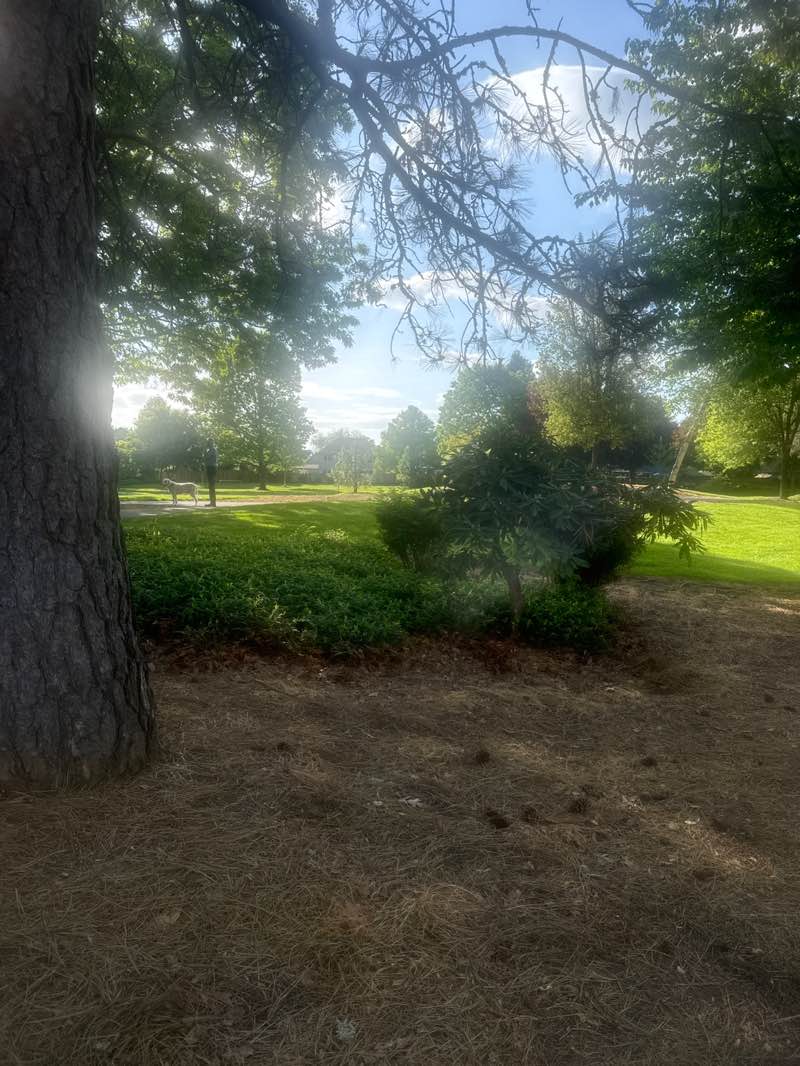 walking near me in Homestead Park in spring