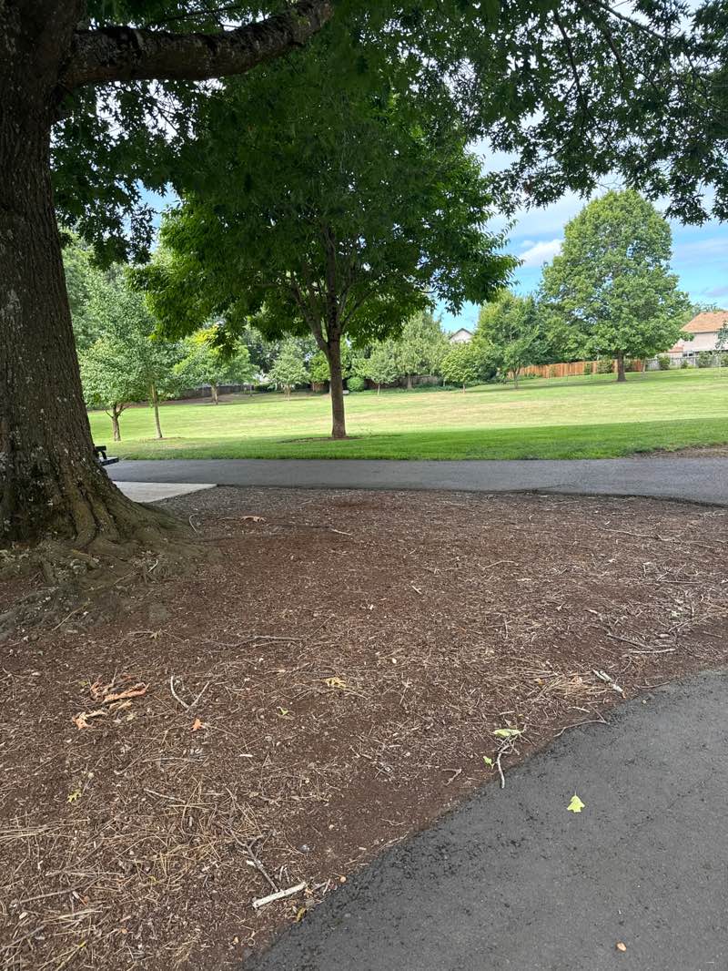 walking near me in Homestead Park in summer